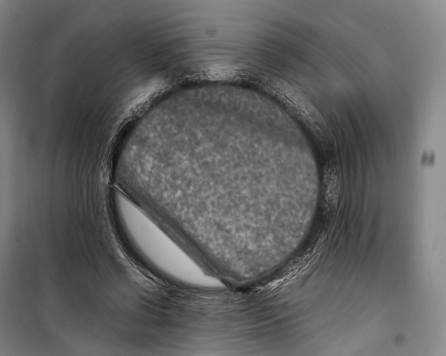 X0000098220542200805151319