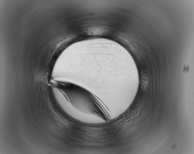 X0000098220543200805151320