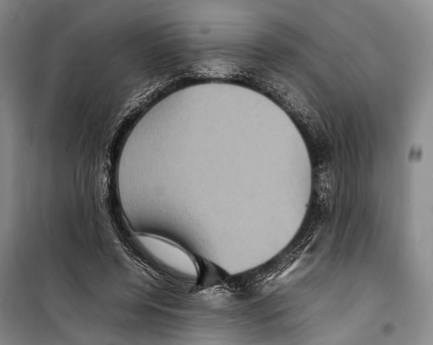 X0000098220544200805151320