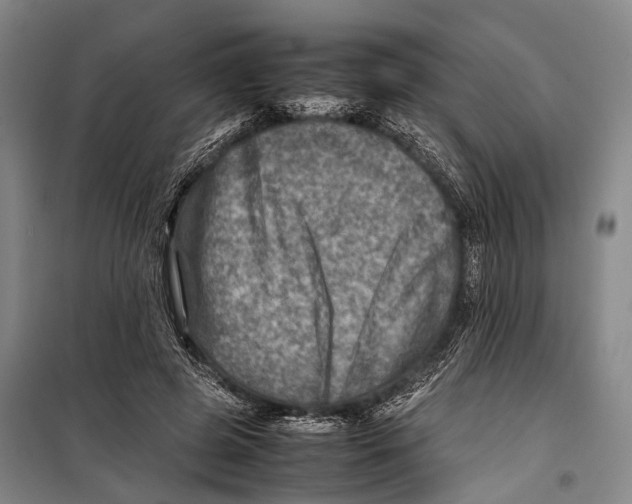 X0000098220545200805151320