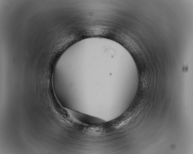 X0000098220546200805151320