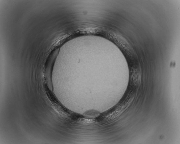 X0000098220548200805151320