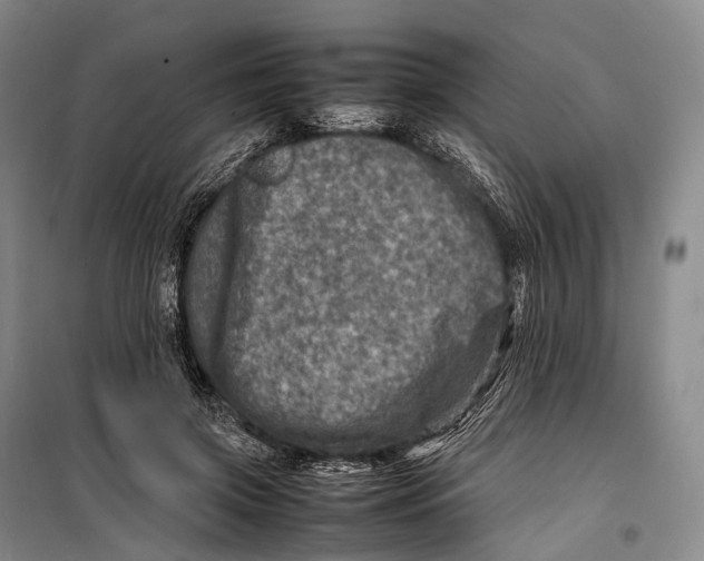 X0000098220549200805151320