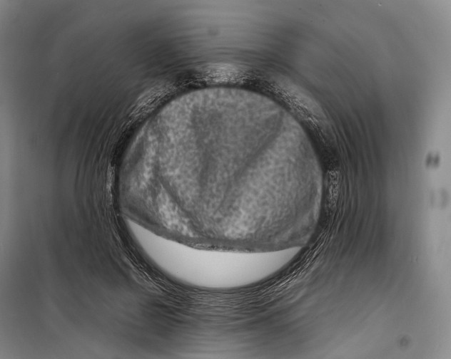 X0000098220550200805151320