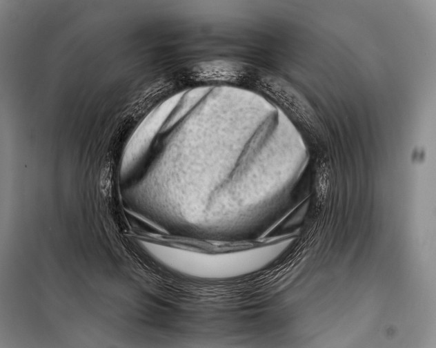 X0000098220551200805151320