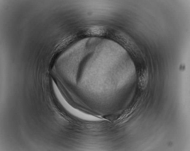 X0000098220552200805151320