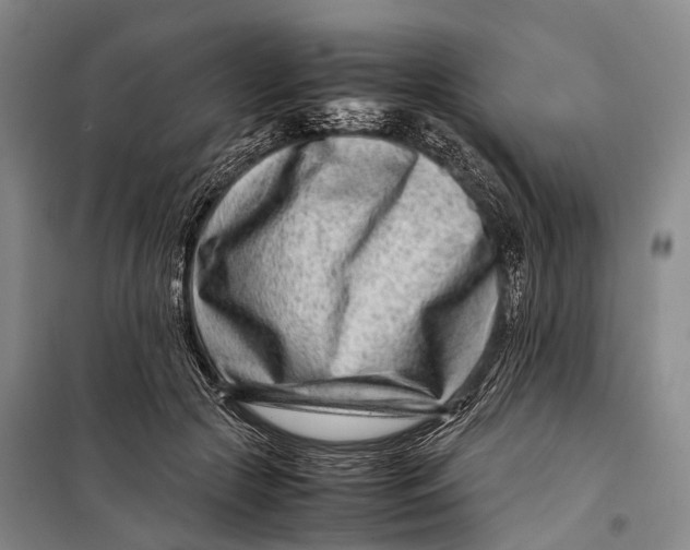 X0000098220553200805151320