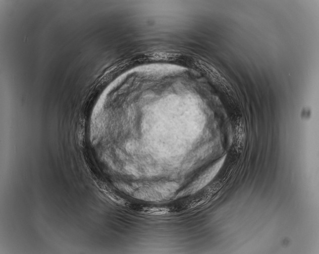 X0000098220554200805151320