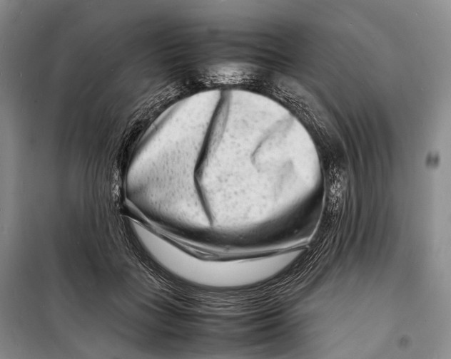 X0000098220555200805151320