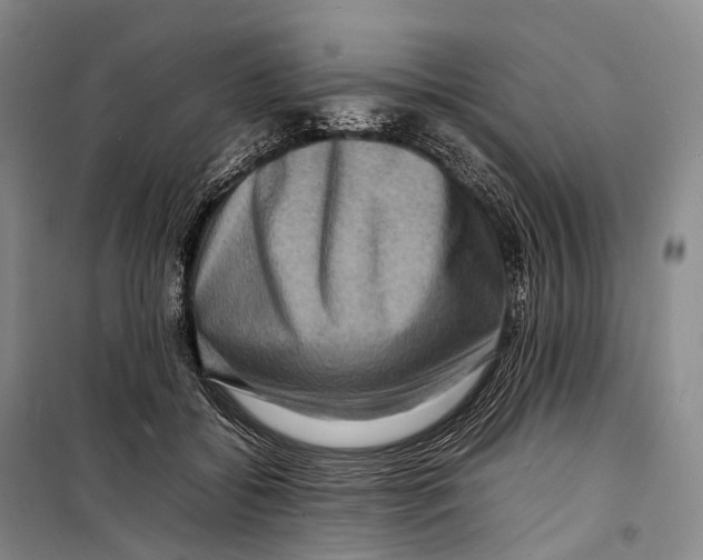 X0000098220556200805151320