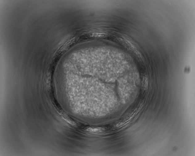 X0000098220557200805151320