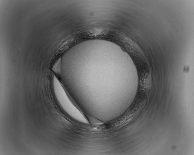 X0000098220558200805151320