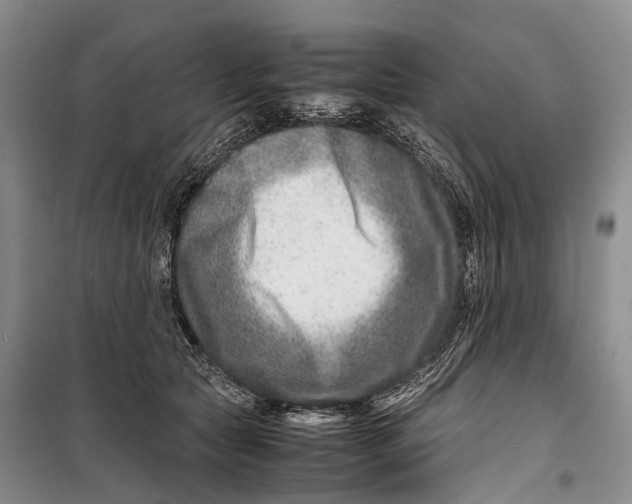 X0000098220561200805151320