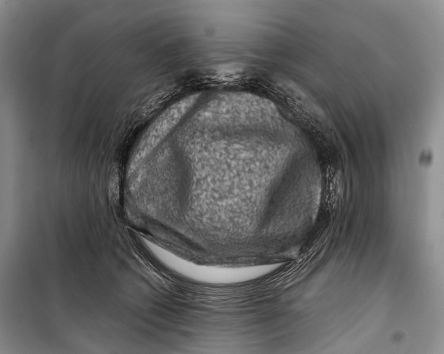 X0000098220562200805151320