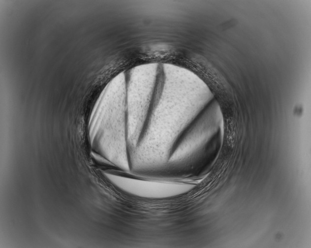 X0000098220563200805151320