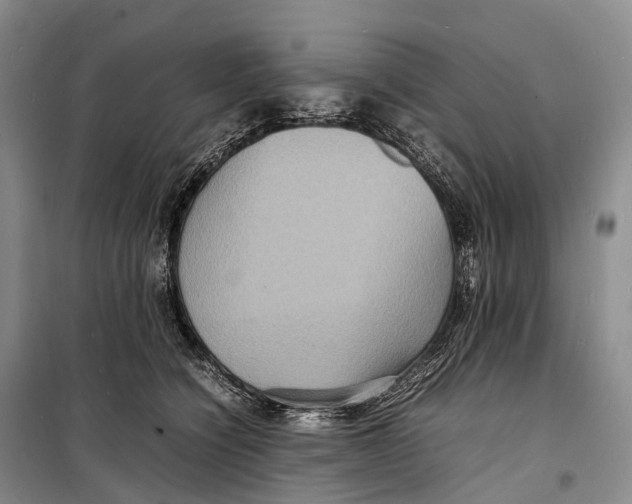 X0000098220564200805151320