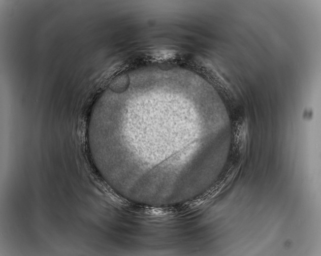 X0000098220565200805151320