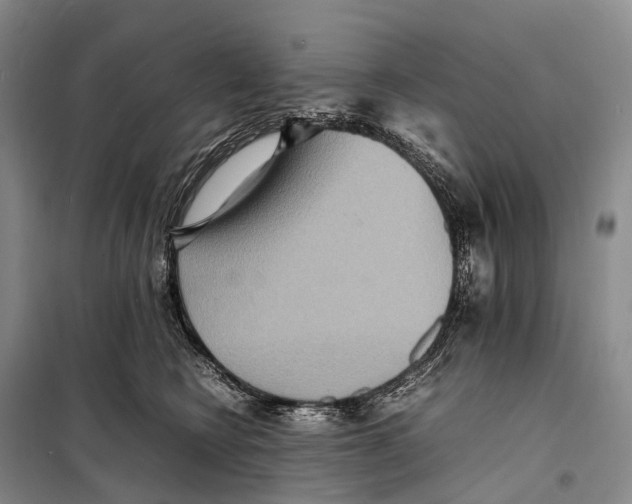 X0000098220566200805151320