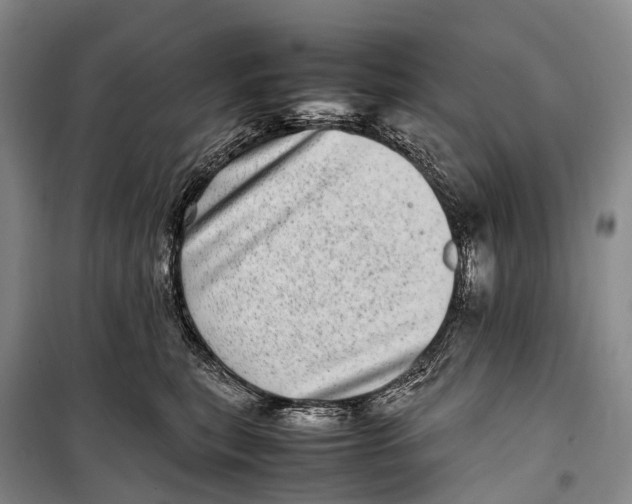 X0000098220567200805151320