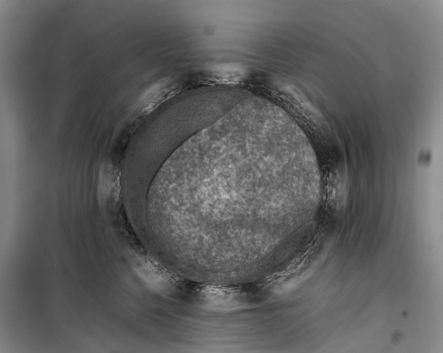 X0000098220568200805151320