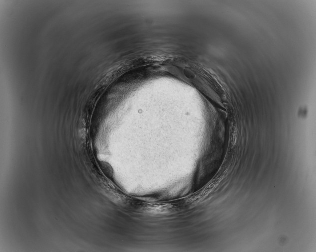 X0000098220569200805151320