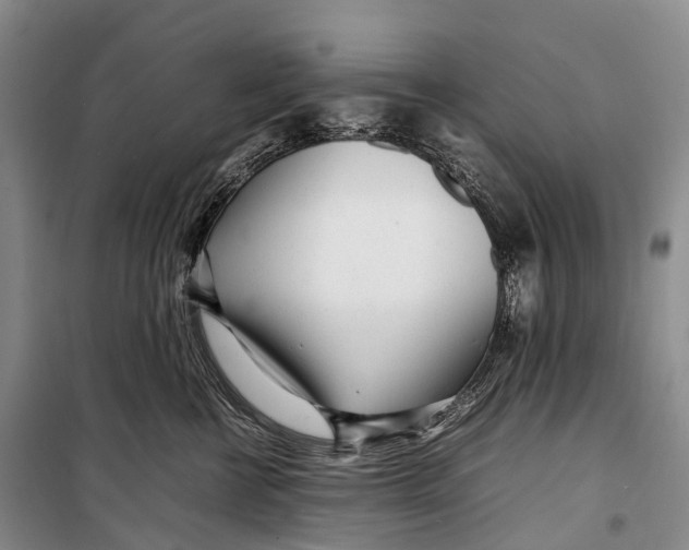 X0000098220570200805151320