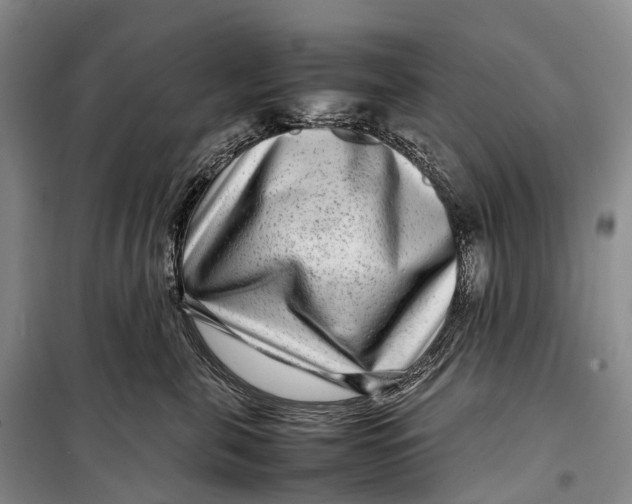 X0000098220571200805151320