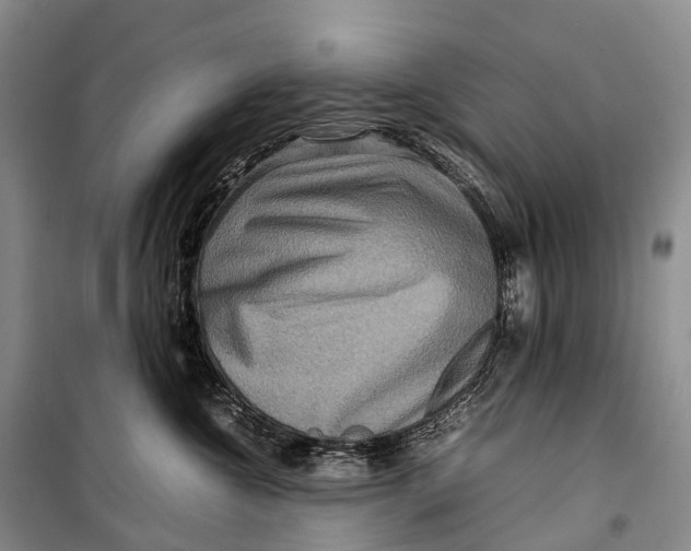 X0000098220572200805151320