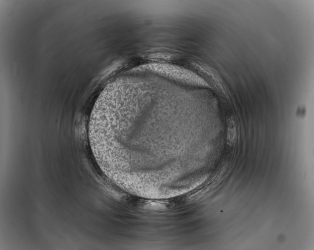 X0000098220573200805151320