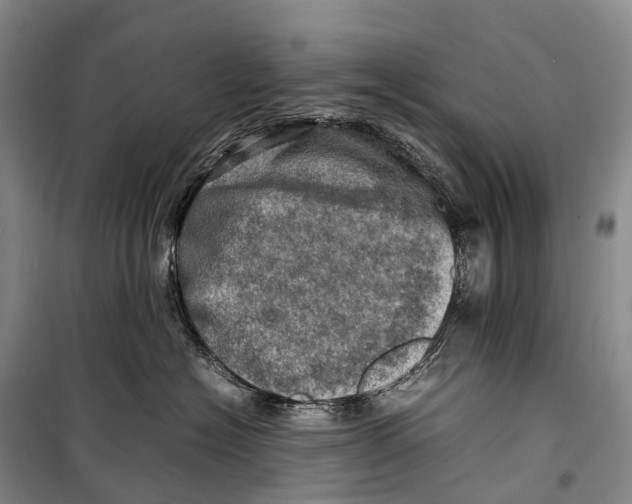 X0000098220574200805151320