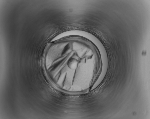 X0000098220576200805151320