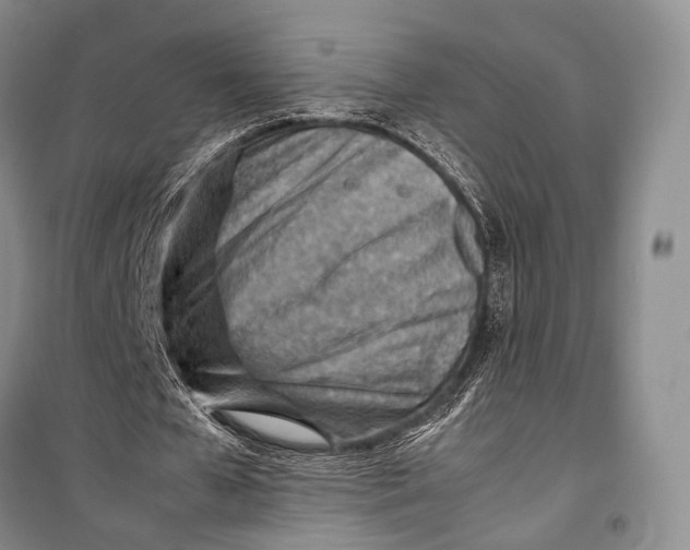 X0000098220577200805151319