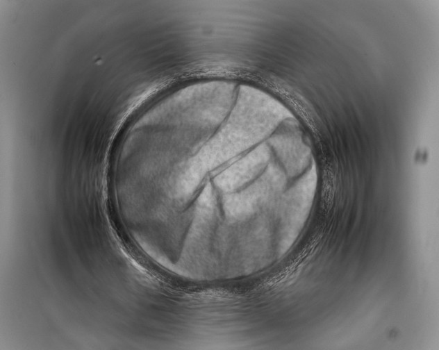 X0000098220578200805151319