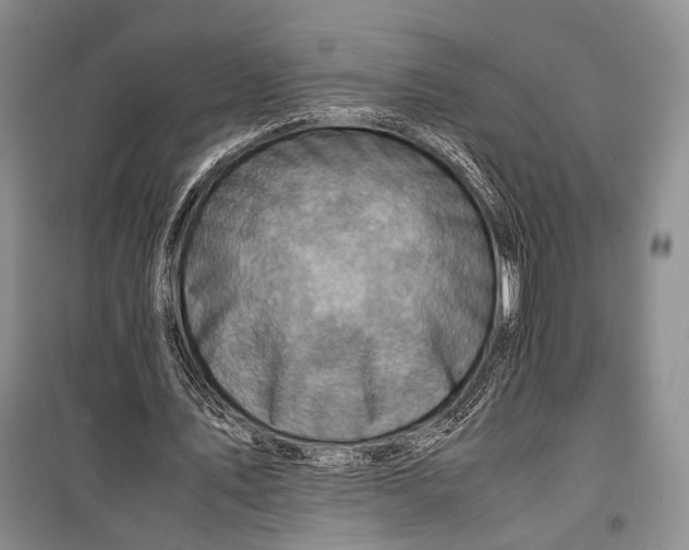 X0000098220579200805151319