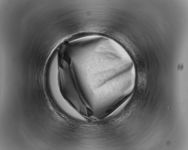 X0000098220580200805151319