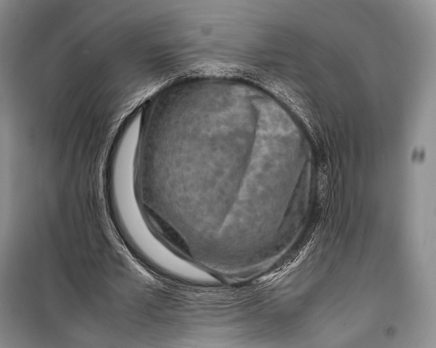 X0000098220581200805151319