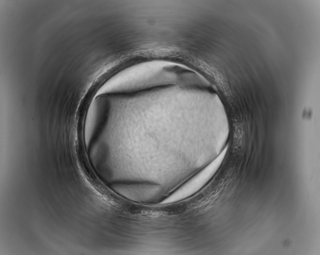 X0000098220582200805151319