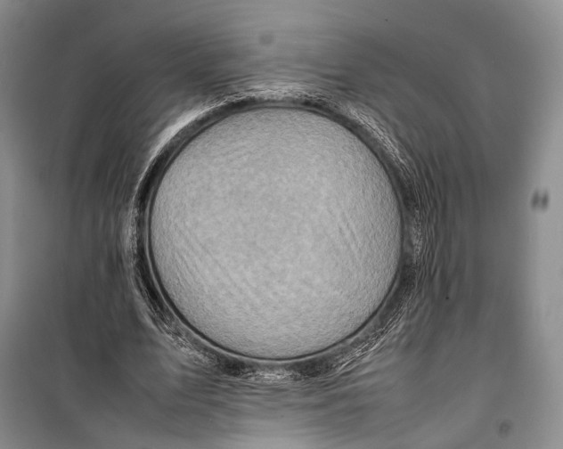 X0000098220583200805151319