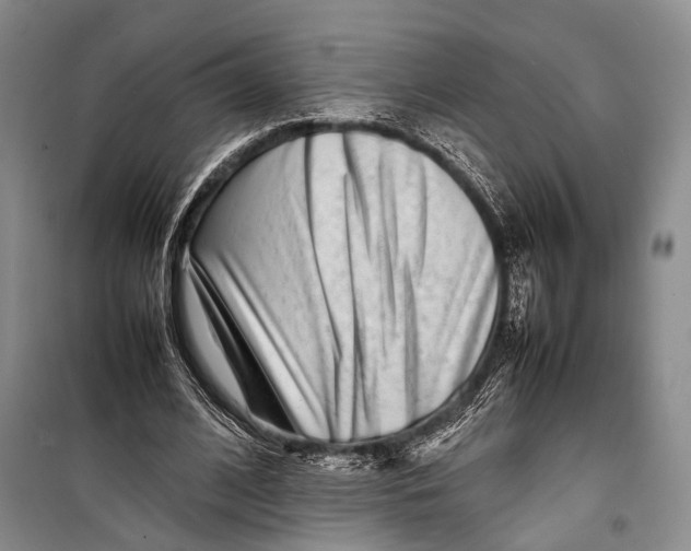 X0000098220584200805151319