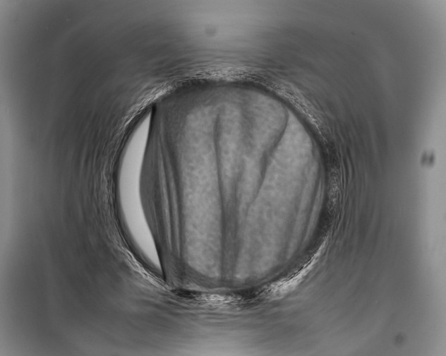 X0000098220585200805151319