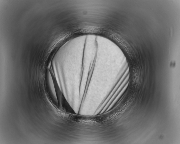 X0000098220586200805151319