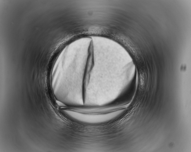 X0000098220588200805151319