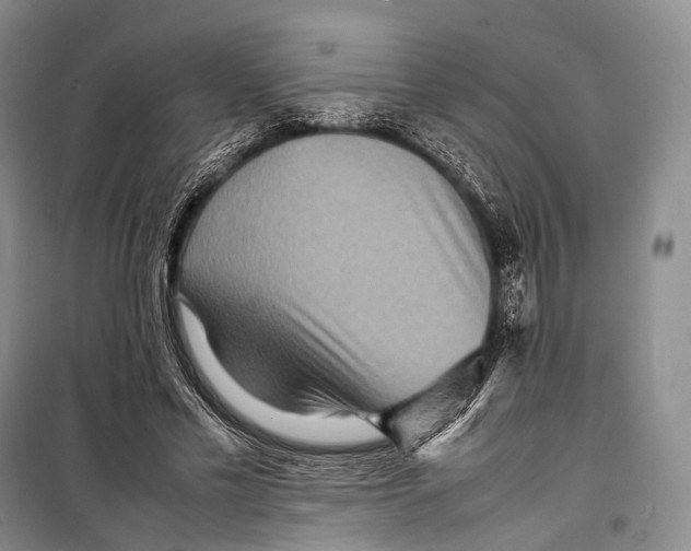 X0000098220589200805151319