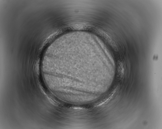 X0000098220590200805151319