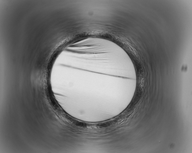 X0000098220591200805151319