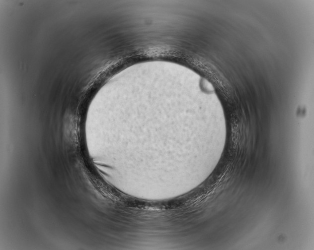 X0000098220592200805151319