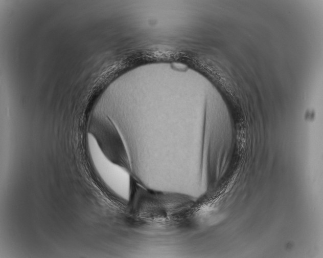 X0000098220593200805151319