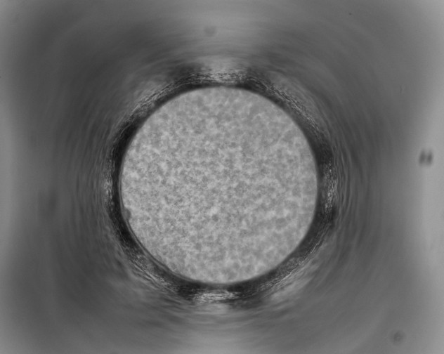 X0000098220595200805151319