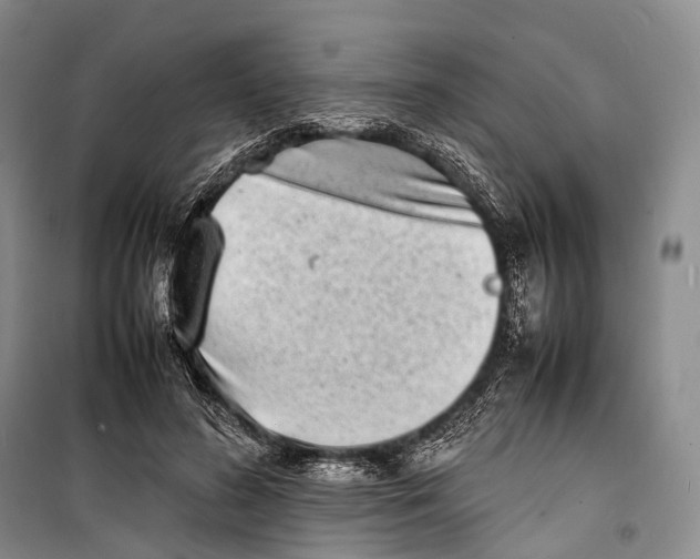 X0000098220596200805151319