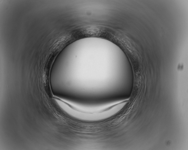 X0000098220597200805151319